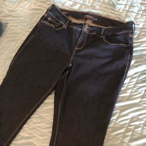 Torrid Skinny Jeans